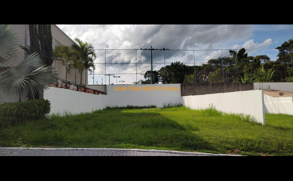 IMG_20260204_155833296