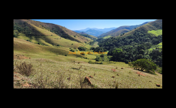 IMG-20250417-WA0149