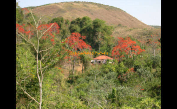 IMG-20250417-WA0162